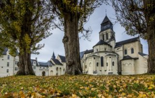 ACTU-Fontevraud-automne-Darrault-768x433